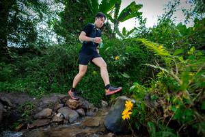 BIB: 
                            <button type="button" onclick="openModal(15974697)" class="btn btn-primary btn-sm float-right btn-popup" data-toggle="modal" data-target=".modal-high-quality">
                        <i class="fas fa-shopping-cart"></i> Add to Cart
                    </button>
                                            <button type="button" onclick="isThisMe(15974697, true)" class="btn btn-success btn-sm float-right btn-popup btn-isme hidden" data-toggle="tooltip" data-placement="bottom" title="นี่คือรูปของคุณใช่ไหม คลิกที่นี่เพื่อเอาเข้าอัลบั้ม">
                        <i class="fas fa-plus"></i> Add to album
                    </button>
                    <button type="button" onclick="isThisMe(15974697, false)" class="btn btn-warning btn-sm float-right btn-popup btn-isnotme hidden">
                        <i class="fas fa-ban"></i> Remove from album
                    </button>